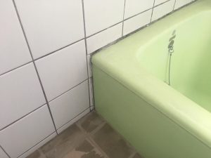 浴室リフォーム 改修工事 (東京都江戸川区)