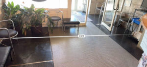 動物病院改修　置床工事　フリーフロアCP（東京都江戸川区）