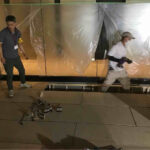 店舗　置床工事　乾式二重床（東京都中央区）